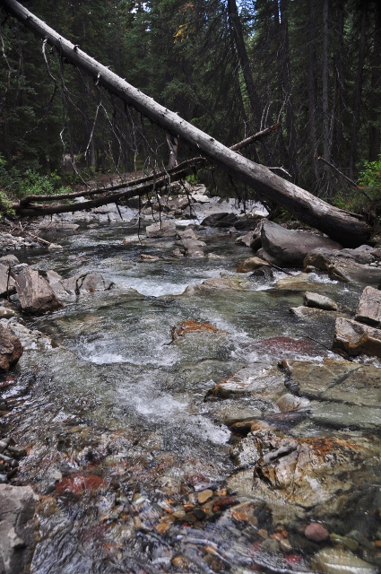 Coors Falls